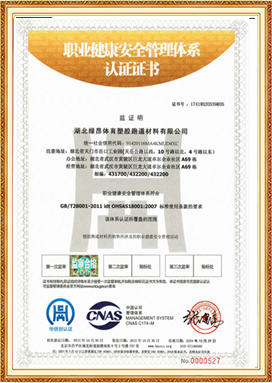公司榮譽5